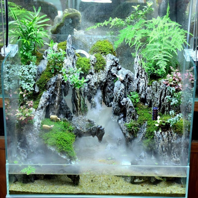 魚缸造景的藝術與技巧：魚缸造景中易于打理的魚缸造景圖案的信息是一些建議