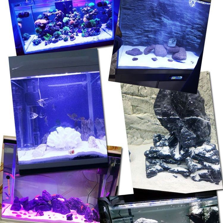 海沙鋪魚缸造景藝術結合養魚與造景藝術的結合養魚與造景藝術的結合：養魚與造景藝術的結合