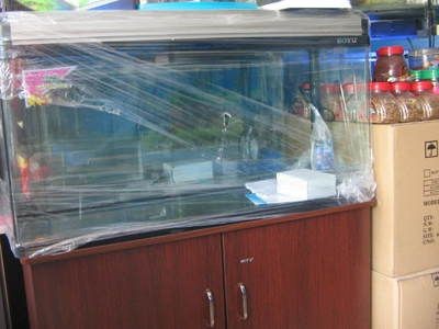 博宇魚(yú)缸設(shè)計(jì)實(shí)用且外觀時(shí)尚新穎：博宇魚(yú)缸養(yǎng)護(hù)秘籍擁有一款美觀實(shí)用的魚(yú)缸養(yǎng)護(hù)秘籍