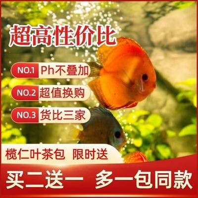 魚缸放橄欖葉好嗎：如何判斷橄欖葉是否新鮮