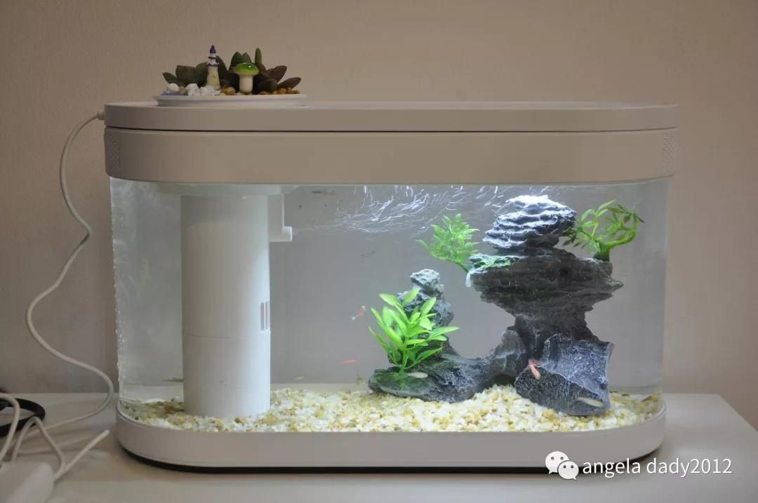 畫法幾何魚缸售后電話：畫法幾何魚缸專利技術(shù)解析畫法幾何魚缸專利技術(shù)解析