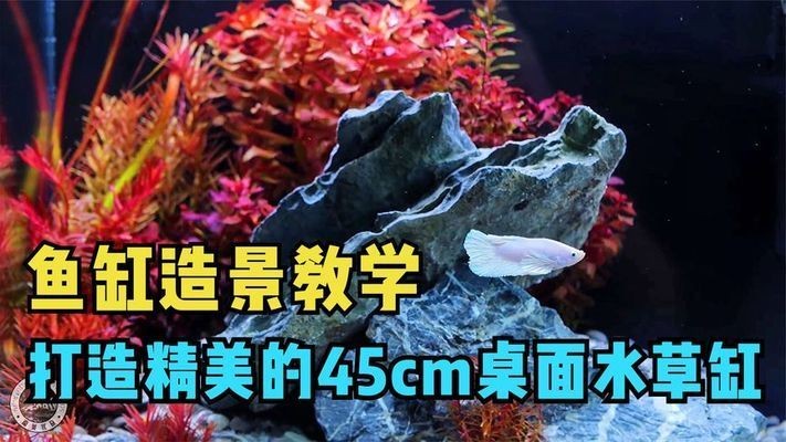 桌面景觀魚(yú)缸設(shè)計(jì)