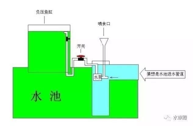 歷城沁錦軒水族花卉經營部（歷城沁錦軒水族花卉經營部地址）