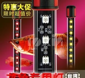 龍魚燈放什么位置好看一點(diǎn)：龍魚燈的合理擺放位置應(yīng)考慮其美觀性和實(shí)用性和實(shí)用性