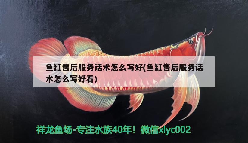 銀龍魚上面的鰭壞了能自己長好嗎（銀龍魚魚鰭爛了怎么辦）