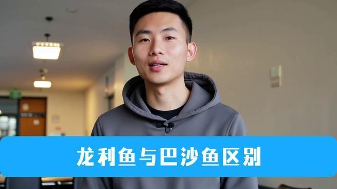 龍利魚和巴沙魚的價格差異大嗎？