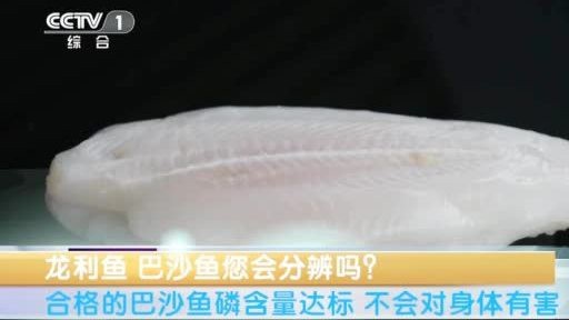龍利魚和巴沙魚的價格差異大嗎？