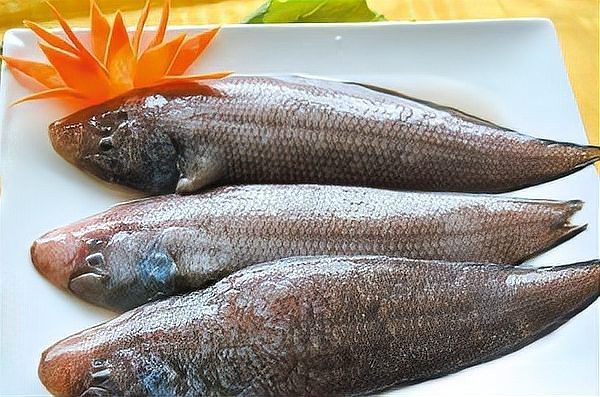 龍利魚和巴沙魚的價格差異大嗎？