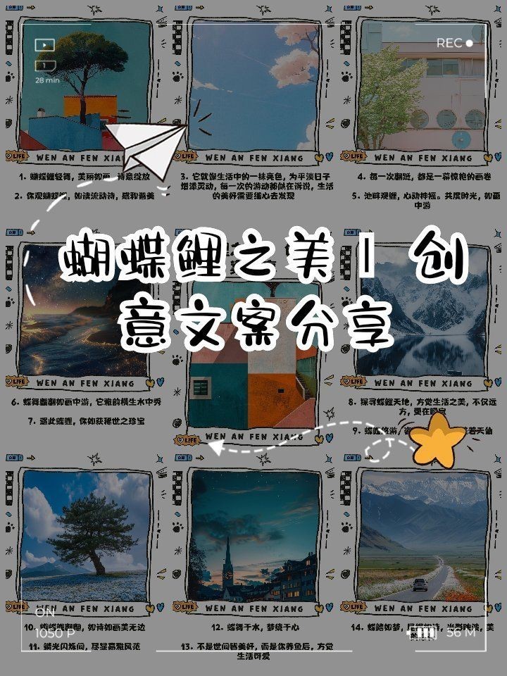 蝴蝶鯉文案最火一句話