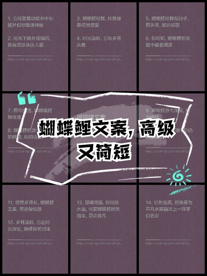蝴蝶鯉文案最火一句話