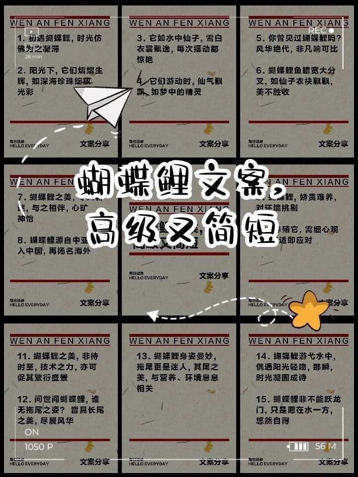 蝴蝶鯉文案最火一句話