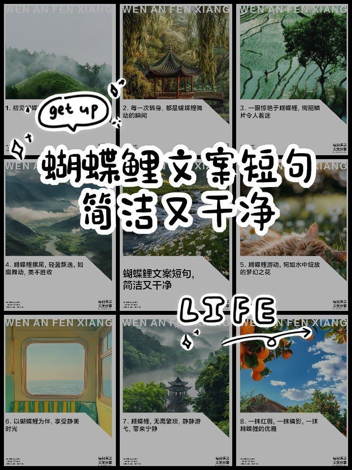 蝴蝶鯉文案最火一句話