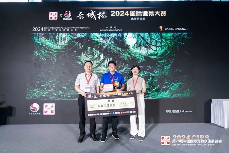 2020年長城杯的獎金是多少？