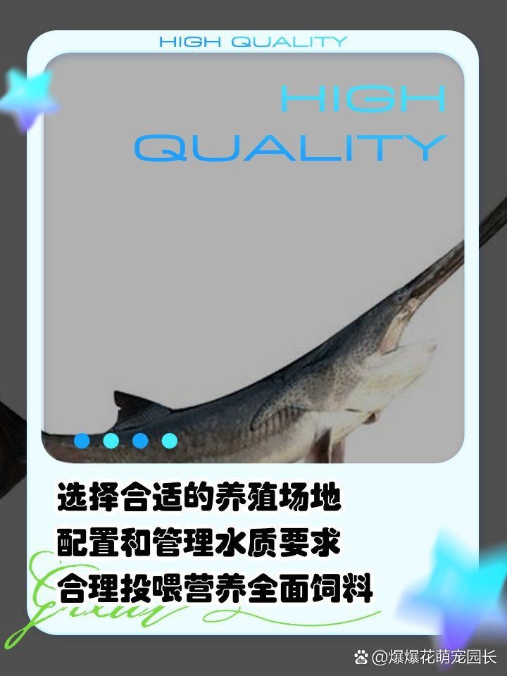 虎斑鴨嘴鯊魚好養嗎