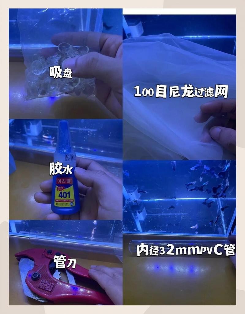 如何設(shè)置觀賞蝦的喂食器？