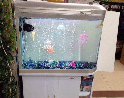 廣州購(gòu)買(mǎi)魚(yú)缸的幾個(gè)地方：廣州水族市場(chǎng)發(fā)展歷史