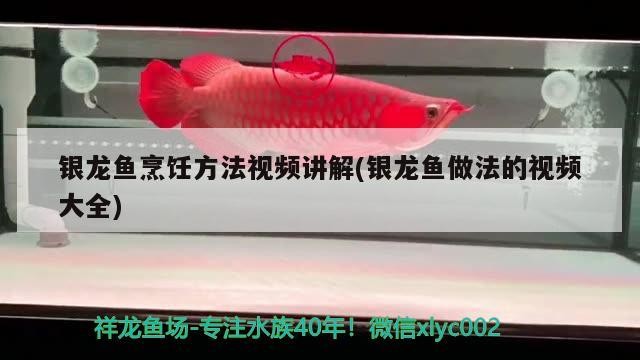 銀龍魚烹飪方法視頻講解(銀龍魚做法的視頻大全)
