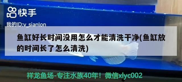 銀龍魚掉了十多片鱗片還能活嗎：銀龍魚掉了十多片鱗片還能活嗎