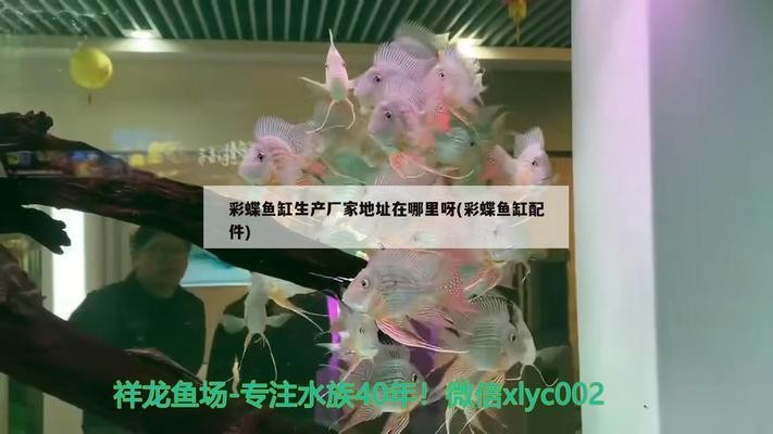 煙臺大正水族器材有限公司（煙臺大正水族器材有限公司電話）