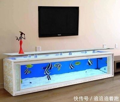 電視改魚缸的設(shè)計靈感：電視改魚缸是一種創(chuàng)意的舊物改造方式