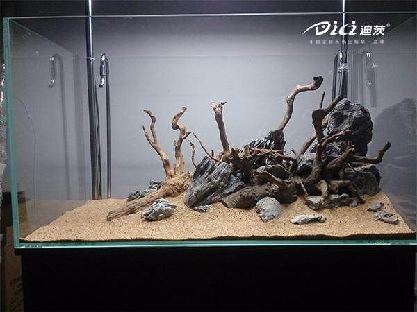 水草魚缸造景教程（水草魚缸造景教程，輕松打造出美麗的水草魚缸） 水草魚缸造景教程（水草魚缸造景教程，輕松打造出美麗的水草魚缸） 魚缸百科 第4張