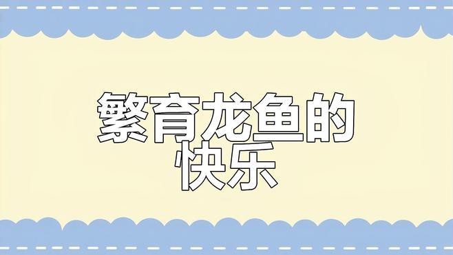 國內龍魚繁殖的成功率有多高？