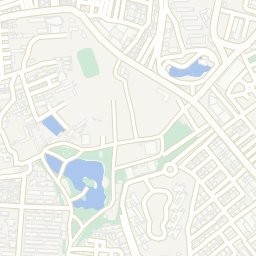 番禺龍魚批發市場的聯系方式 番禺龍魚批發市場的聯系方式 2025長城杯龍魚大賽 第4張