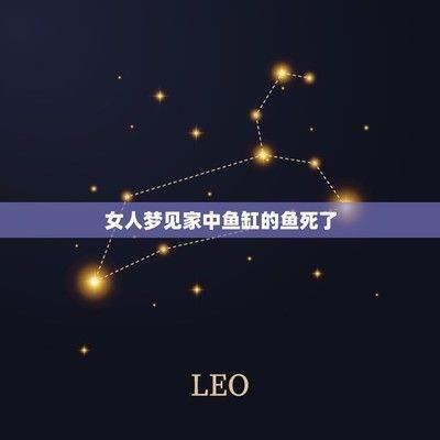 夢(mèng)魚缸魚死了一條被吃了：夢(mèng)見魚缸里的魚死了一條被吃了詳情