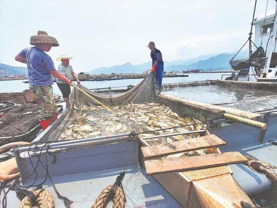 福魚紡織屬于什么檔次