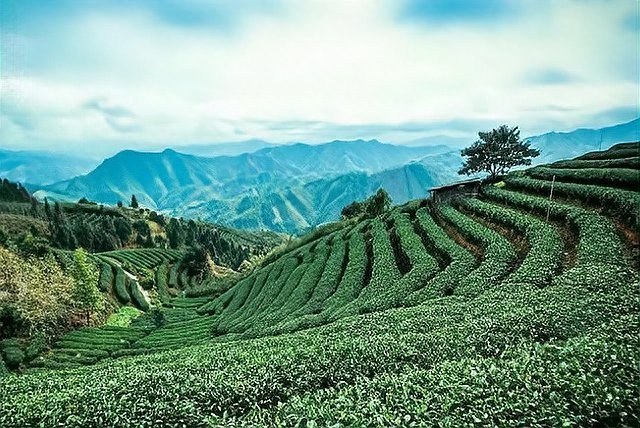 秦皇島長城杯詩詞大賽有哪些獲獎作品 2025長城杯龍魚大賽 第4張 秦皇島長城杯詩詞大賽有哪些獲獎作品 秦皇島長城杯詩詞大賽有哪些獲獎作品 2025長城杯龍魚大賽 第4張