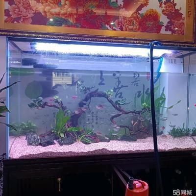維修魚缸維修價格：福州魚缸維修