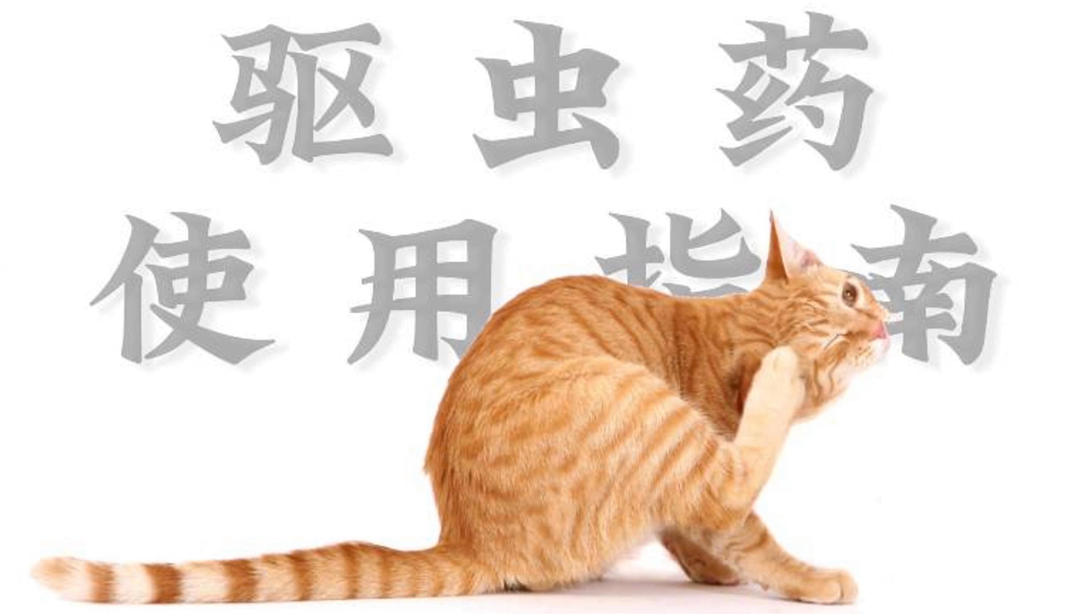 如何安全地使用化學藥物預防寄生蟲？