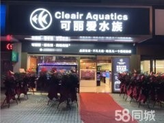 長春龍魚58同城招聘信息網站