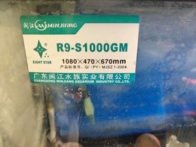廣東閩江水族實業有限公司魚缸（廣東閩江水族實業有限公司水族產業有限公司水族箱養護與維護指南）