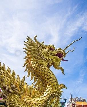 地鐵逃生金龍圖片