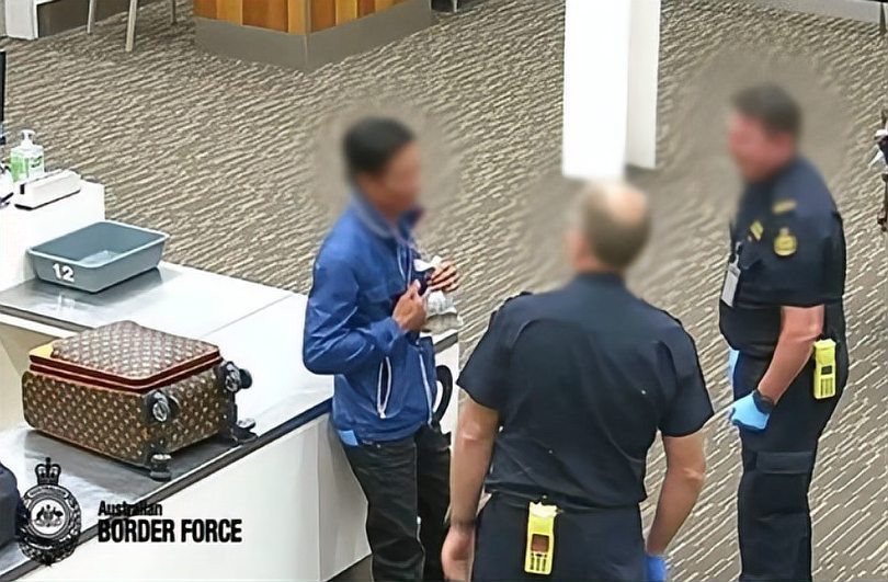 紅龍魚苗的走私風險有多大？