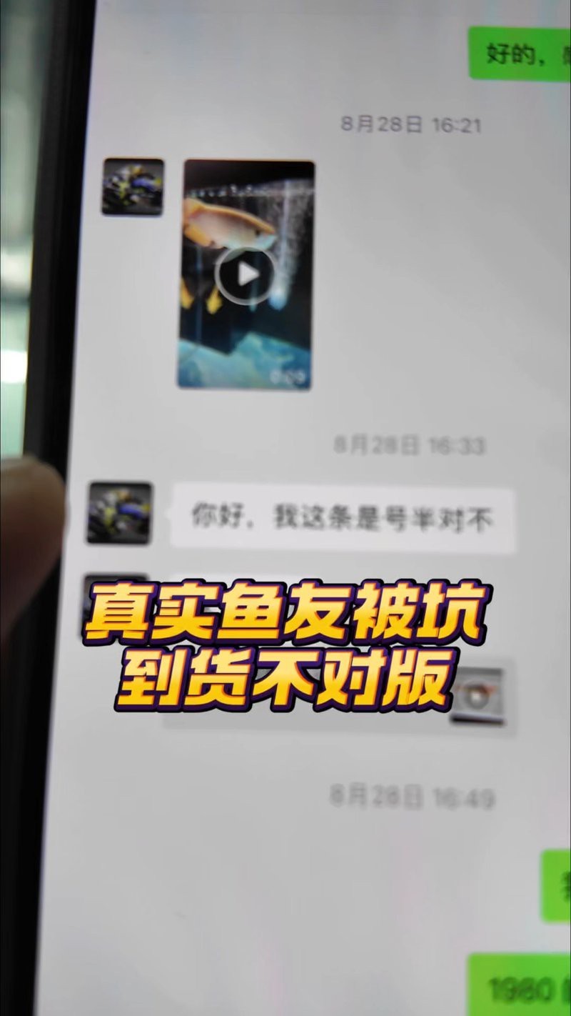 紅龍魚苗的走私風險有多大？