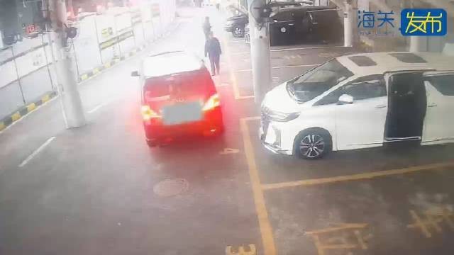 紅龍魚苗的走私風險有多大？