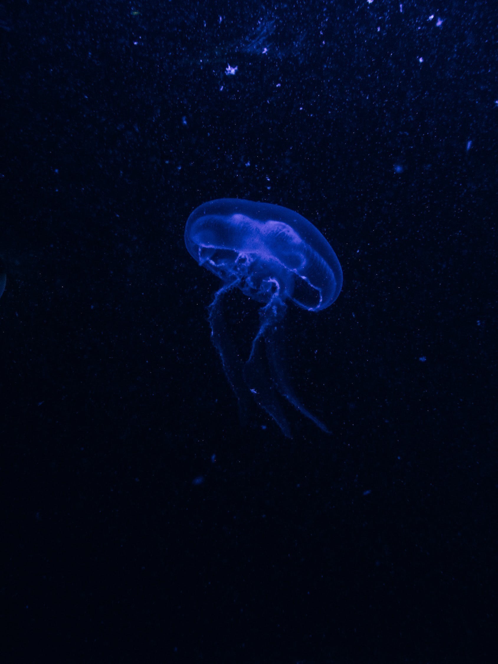 上海市徐匯區(qū)生海水族館 （上海市徐匯區(qū)生海水族館地址）