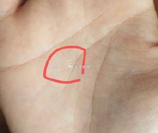 龍頭紋手相