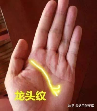 龍頭紋手相