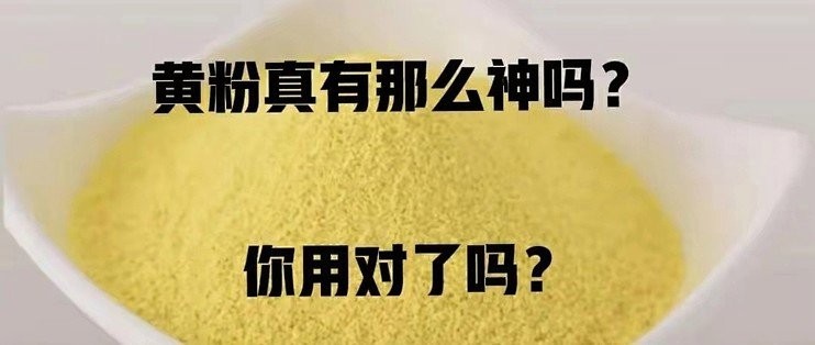 龍魚5號藥水與黃粉白粉一起用嗎