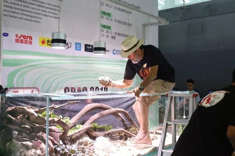 如何購買長城杯觀賞魚比賽門票？