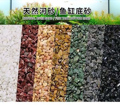 底濾魚缸如何布景（底濾魚缸布景指南）