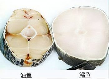 市場上無頭鱈魚到底是什么魚