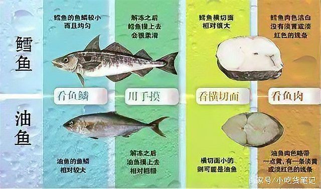 市場上無頭鱈魚到底是什么魚