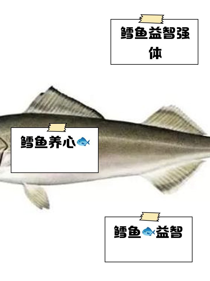市場上無頭鱈魚到底是什么魚