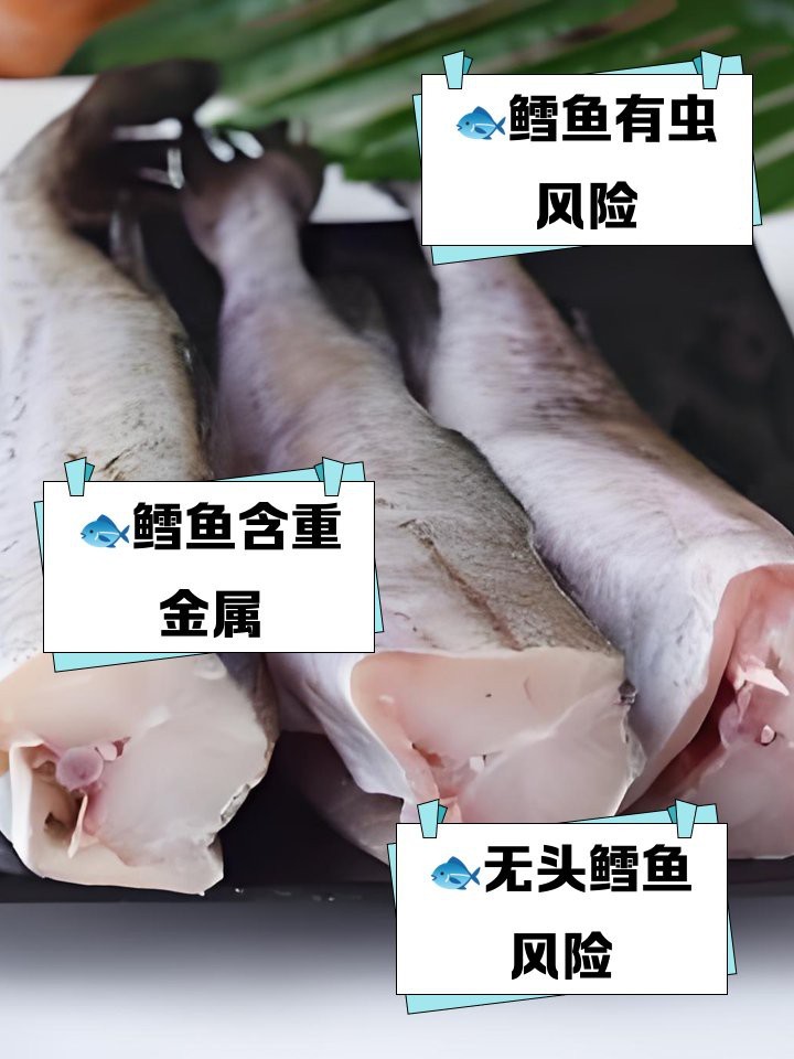 市場上無頭鱈魚到底是什么魚