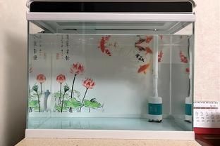 魚缸過濾什么樣的好一點：魚缸過濾器怎么選擇