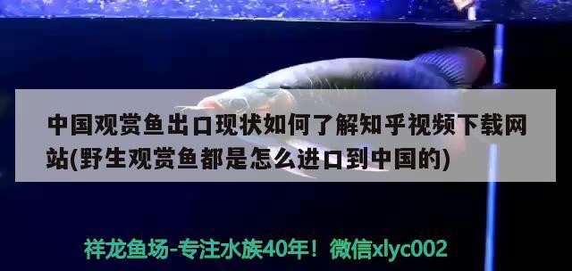經濟開發區德真漁具店